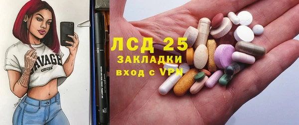 индика Белокуриха