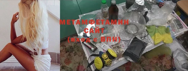 индика Белокуриха