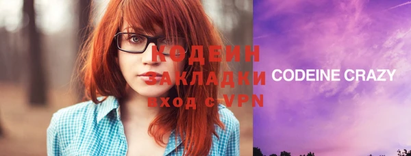 индика Белокуриха