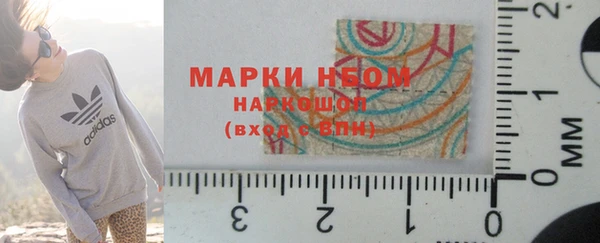 индика Белокуриха