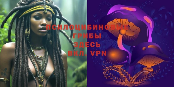 твердый Белоозёрский